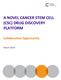 A NOVEL CANCER STEM CELL (CSC) DRUG DISCOVERY PLATFORM. Collaborative Opportunity