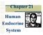 Chapter 21. Human Endocrine System