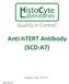 Anti-hTERT Antibody (SCD-A7)