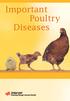 Important Poultry Diseases