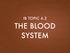 IB TOPIC 6.2 THE BLOOD SYSTEM