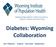 Diabetes: Wyoming Collaboration Our Passion: Inspire. Innovate. Implement.