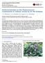 Medicinal Studies on the Phytochemical Constituents of Justicia carnea by GC-MS Analysis