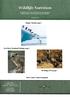 Wildlife Nutrition. A Publication of Canada s Accredited Zoos and Aquariums Nutrition Advisory and Research Group (CAZA-NARG) January, 2015