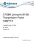 CREB1 (phospho S133) Transcription Factor Assay Kit