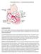 Arrhythmia Study Guide 3 Junctional and Ventricular Rhythms
