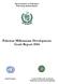 Pakistan Millennium Development Goals Report 2004