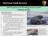 2017 Elephant Seal Breeding Season Update February 10, 2017