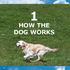 1 HOW THE DOG WORKS 10