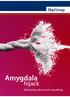 Amygdala. hijack. Why being clever isn t everything