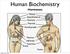 Human Biochemistry. Hormones