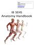 Name: Class: IB SEHS (SL) Teacher: Mrs. Rowe   IB SEHS Anatomy Handbook