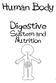 Human Body. Digestive. System and Nutrition