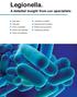 Legionella. A detailed insight from our specialists. Overview Lifecycle How it manifests Strains and species Facts and statistics