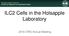 ILC2 Cells in the Holsapple Laboratory CRIS Annual Meeting