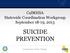 CalMHSA Statewide Coordination Workgroup September 18-19, 2013 SUICIDE PREVENTION