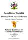 Republic of Namibia. Ministry of Health and Social Services. Directorate of Special Programmes. National Guidelines for Antiretroviral Therapy