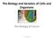 The Biology and Genetics of Cells and Organisms The Biology of Cancer