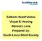 Seldom Heard Voices Visual & Hearing Sensory Loss Prepared by: South Lincs Blind Society