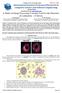 Keywords: Leukaemia, Image Segmentation, Clustering algorithms, White Blood Cells (WBC), Microscopic images.