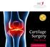Specialists in Joint Replacement, Spinal Surgery, Orthopaedics and Sport Injuries. Cartilage Surgery. The Knee.