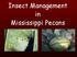 Insect Management in Mississippi Pecans