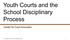 Youth Courts and the School Disciplinary Process. Center for Court Innovation
