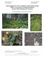Interim Report on Lesser Celandine Control Efforts during 2009 (1 st year) of the Cleveland Metroparks Invasive Plant Management Program