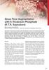 Sinus Floor Augmentation with ß-Tricalcium Phosphate (R.T.R. Septodont)