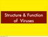 Structure & Function of Viruses