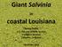 Giant Salvinia. coastal Louisiana. Ronny Paille U.S. Fish and Wildlife Service Ecological Services Lafayette, Louisiana.