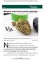 Marijuana strains doctor-patient relationship Jcamilobernal/iStock/Thinkstock