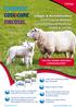Unique & Revolutionary Continuous-Release Soluble Glass Boluses for Sheep & Lambs