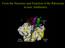 From the Structure and Function of the Ribosome to new Antibiotics