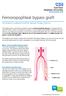 Femoropopliteal bypass graft