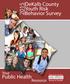 DeKalb County Youth Risk Behavior Survey