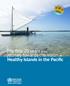 The first 20 years of the journey towards the vision of Healthy Islands in the Pacific