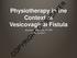 Physiotherapy in the Context of Vesicovaginal Fistula. Jessica L. McKinney, PT, MS 20 March 2017