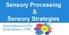 Sensory Processing & Sensory Strategies. Sara Androyna,COTAL Emily Wolanin, OTRL