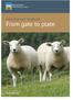 Hybu Cig Cymru Meat Promotion Wales. Lamb Producers Handbook. From gate to plate.