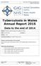 Tuberculosis in Wales Annual Report 2015