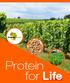 What does protein africa offer? World leader in technology and expertise for the processing of whole soybeans into soymilk and soy food ingredients