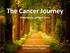 The Cancer Journey. Bringing the patient home. Dr. Jan Owen, Primary Care Lead, SW Regional Cancer Program