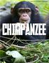 Accelerating Academic Achievement. chimpanzee