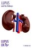 Lupus. and the Kidneys