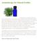 Aromatherapy for Natural Fertility