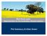 Non-food uses: Opportunities for the Australian oilseed industry. Phil Salisbury & Allan Green