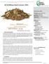 ACB Willow Bark Extract 20% Exfoliaton. Botanical. Natural Alternative. Technical Data Sheet. Benefits of ACB Willow Bark Extract 20%