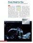 From Head to Toe Use of Advanced Dynamic Flow in prenatal ultrasound