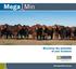 Mega Min. Maximise the potential of your livestock. Solutions.   AUSTRALIA